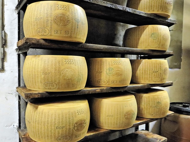 queijo Parmigiano-Reggiano