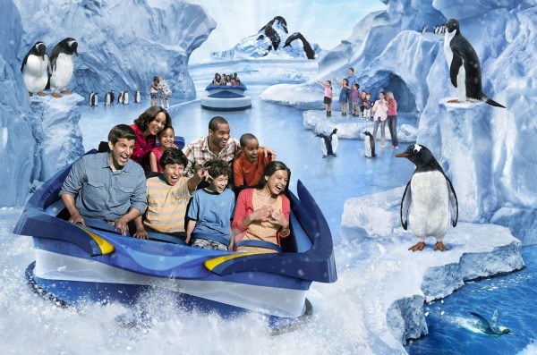 pinguins sea world pinguins sea world