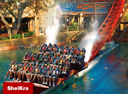 Bush Gardens - Guia Completo sheikra bush gardens - Bush Gardens - Guia Completo
