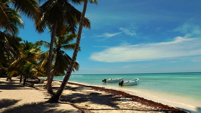 ilha saona - Punta Cana - O que você precisa saber antes de embarcar