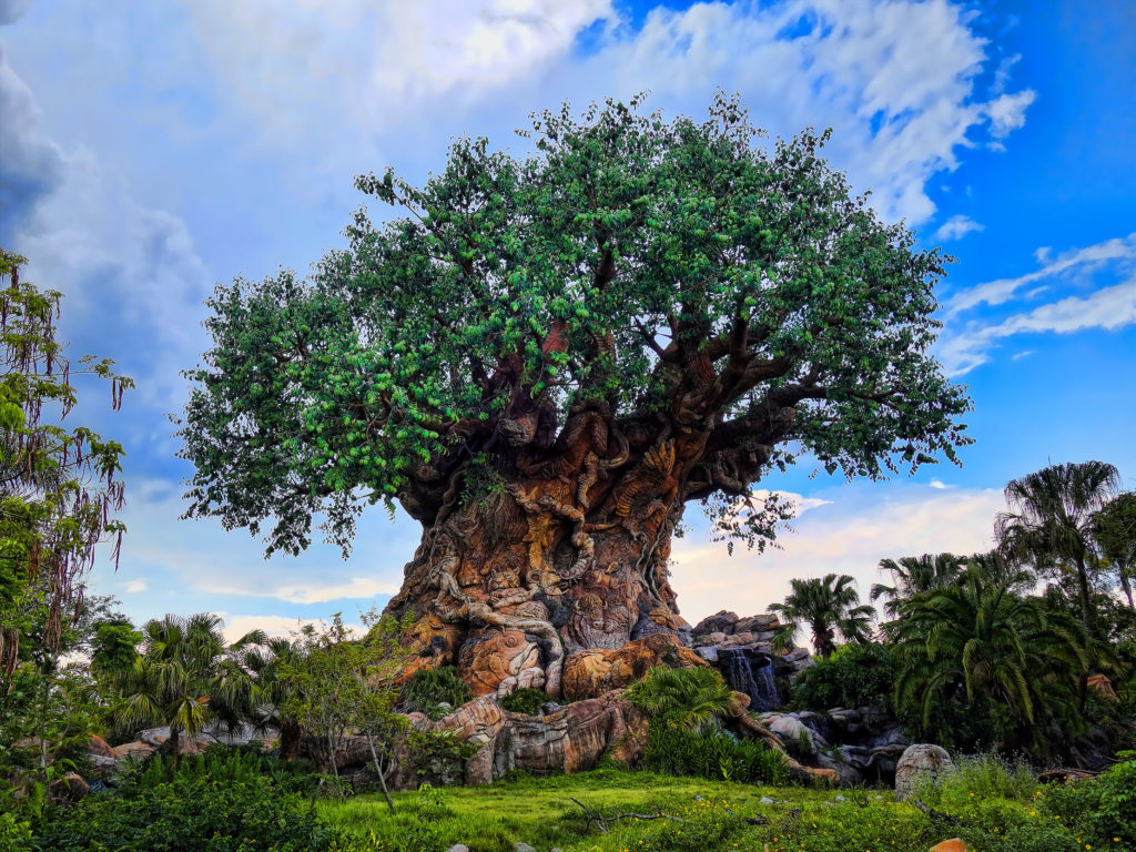 Disney Animal Kingdom 27589660700 1024x768 - Roteiro 7 dias Orlando e Disney